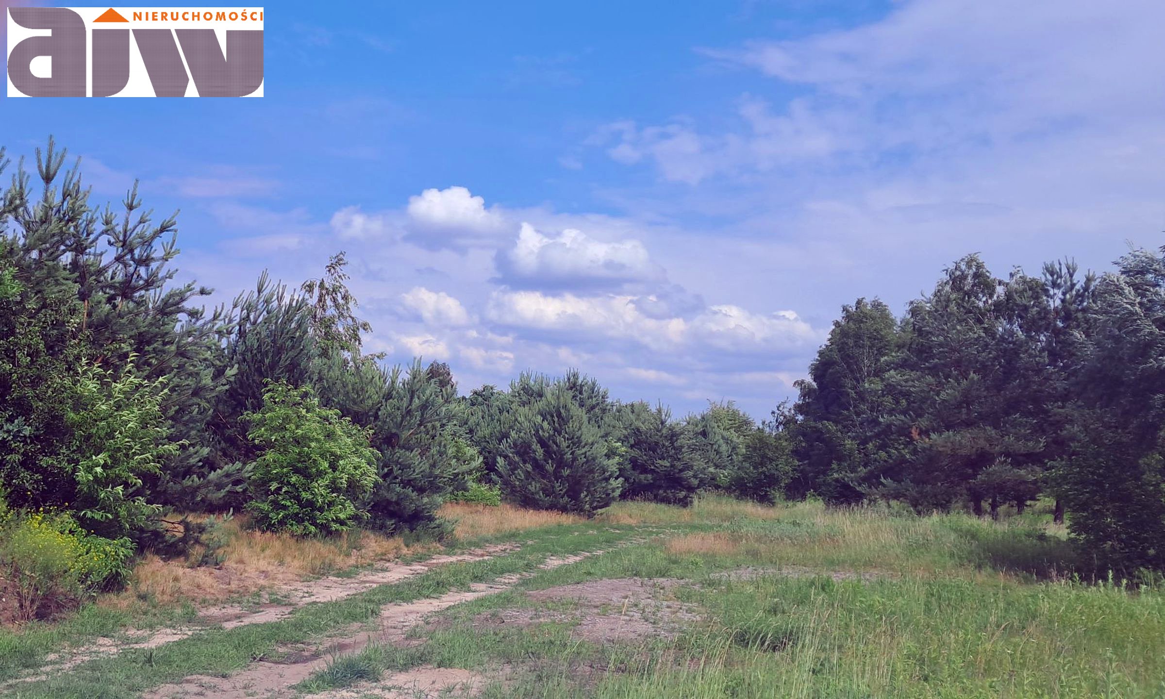 Lipków działka 1500 m2 - zdjęcie 2