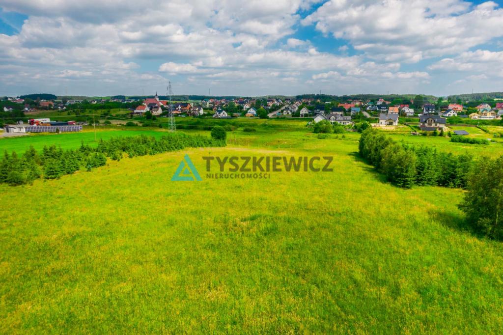 Duża działka przy drodze 214 pod dzierżawę! - zdjęcie 11