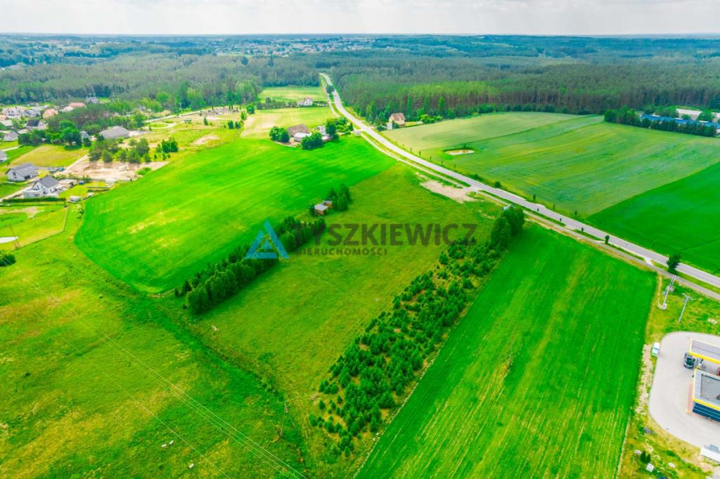 Duża działka przy drodze 214 pod dzierżawę! - zdjęcie 16