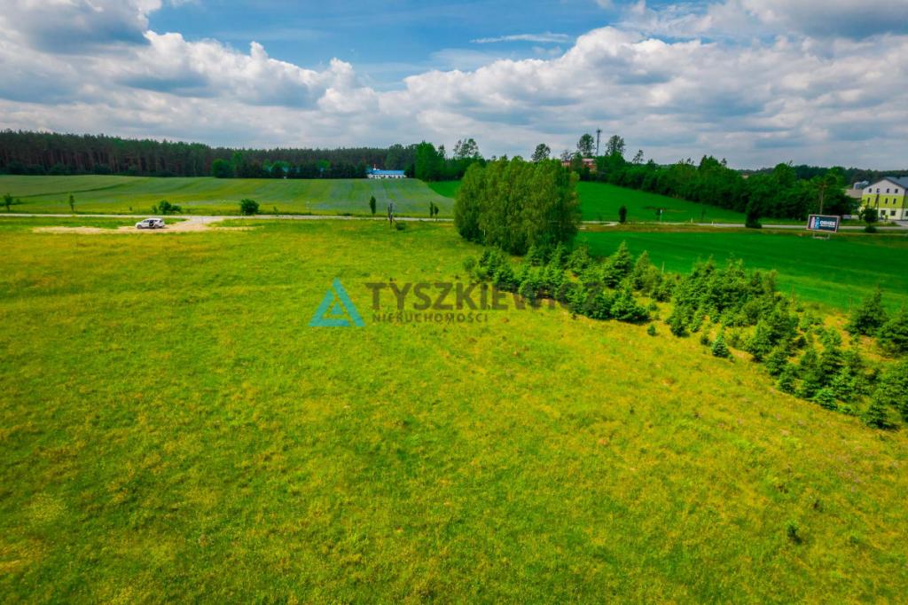 Duża działka przy drodze 214 pod dzierżawę! - zdjęcie 12