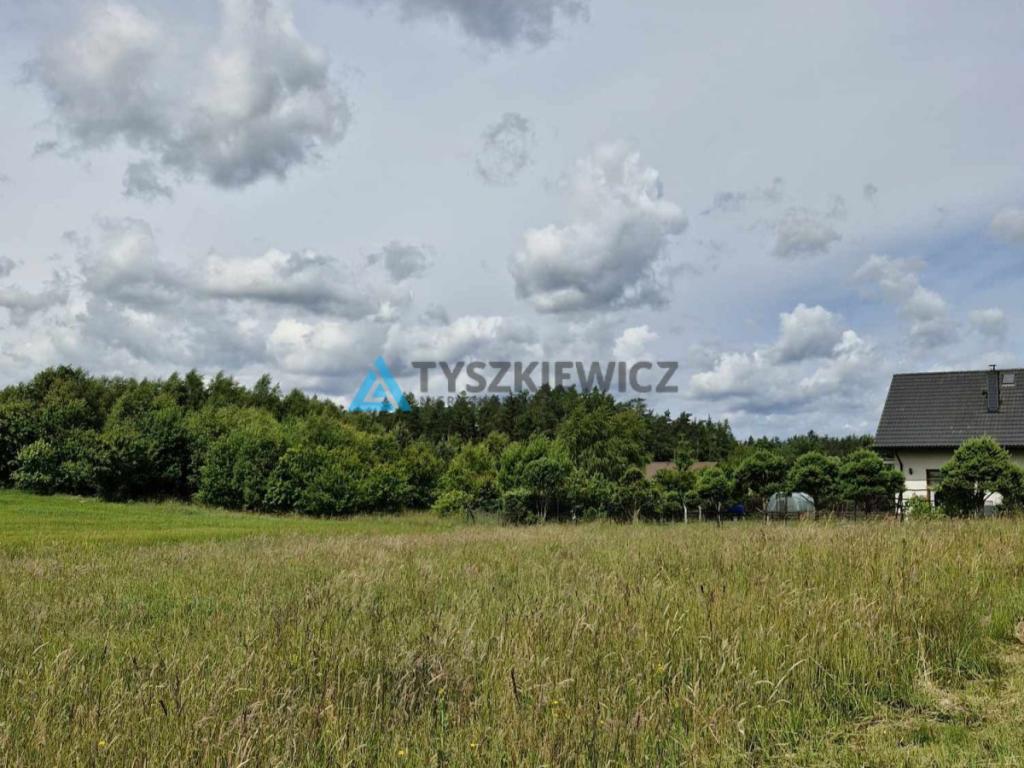 Atrakcyjna działka pod zabudowę lub inwestycję - zdjęcie 7