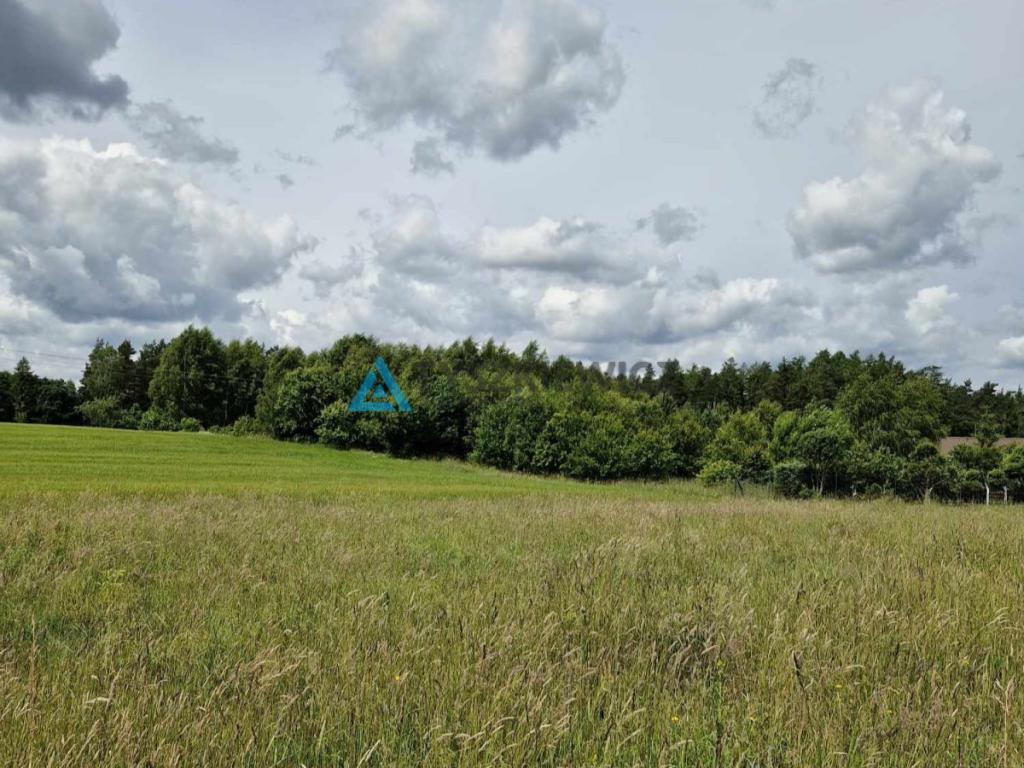 Atrakcyjna działka pod zabudowę lub inwestycję - zdjęcie 4