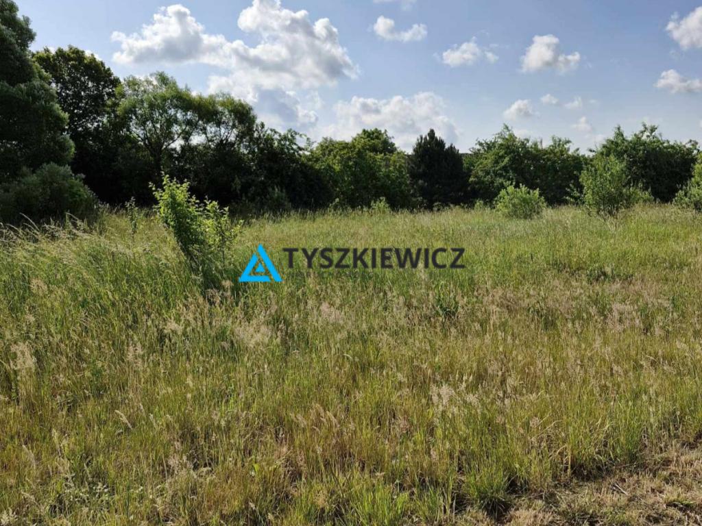 Atrakcyjna działka pod zabudowę lub inwestycję - zdjęcie 1