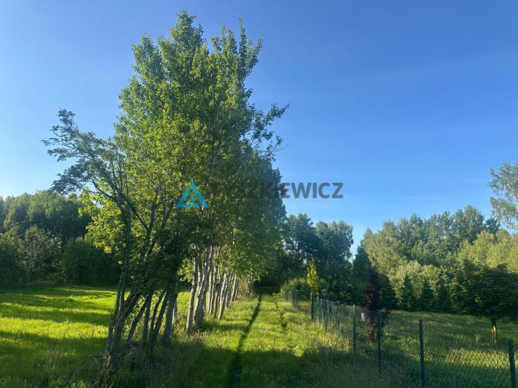 Działka w sąsiedztwie lasu- Ostrowo - zdjęcie 8