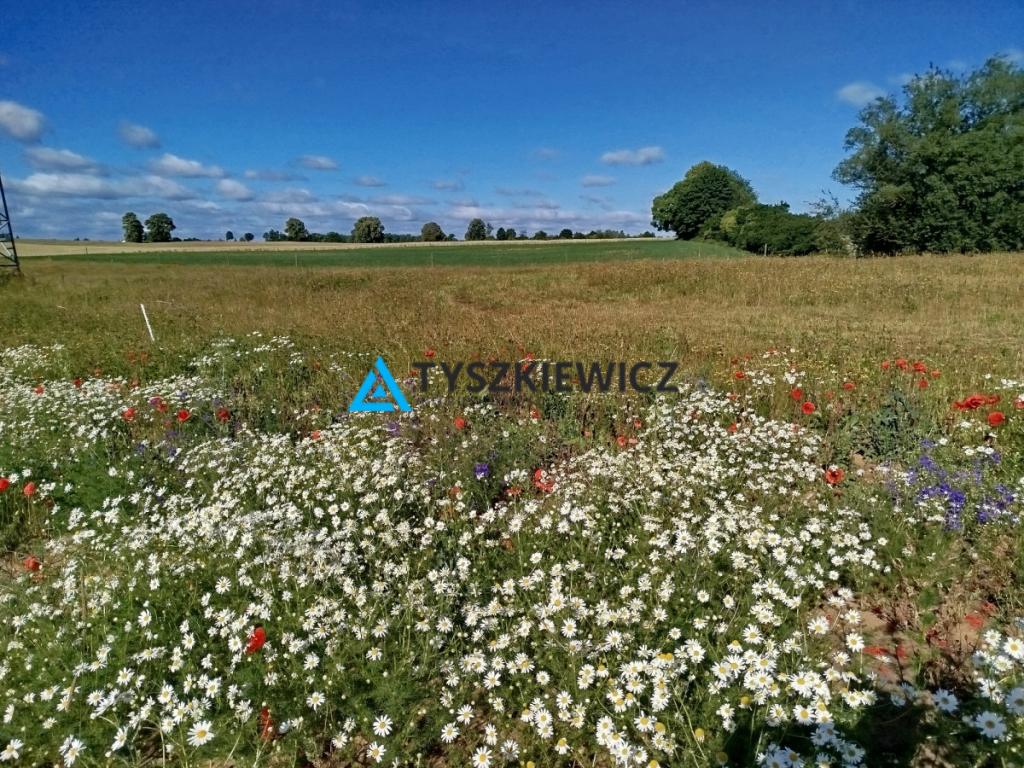 Zaprojektuj swój wymarzony dom pod Starogardem - zdjęcie 1