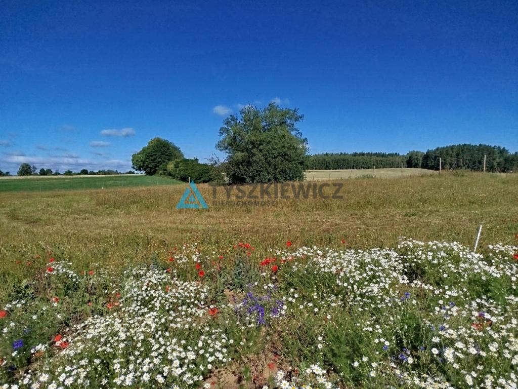 Zaprojektuj swój wymarzony dom pod Starogardem - zdjęcie 3