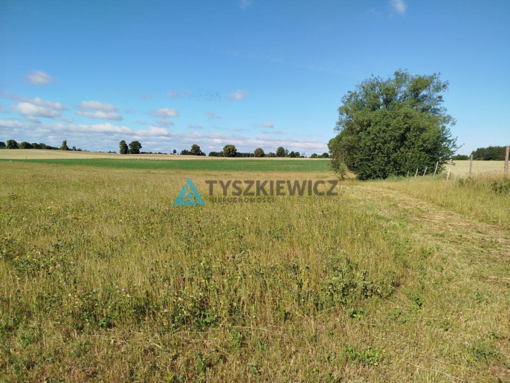 Zaprojektuj swój wymarzony dom pod Starogardem - zdjęcie 6