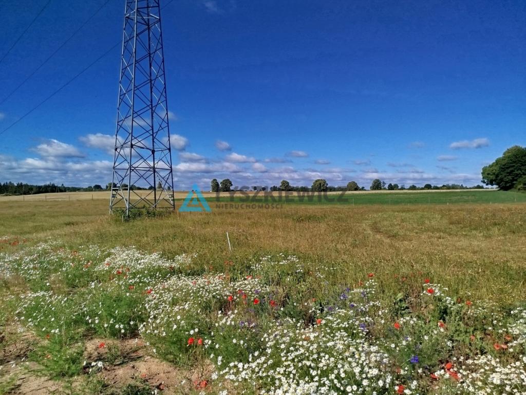 Zaprojektuj swój wymarzony dom pod Starogardem - zdjęcie 2