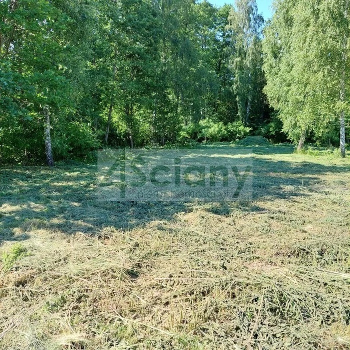Działka budowlana 2090&nbsp;m², Huta Żabiowolska - zdjęcie 1