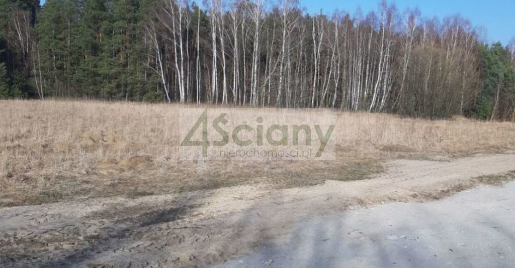 Działka rekreacyjna 3100&nbsp;m², Wycześniak - zdjęcie 2