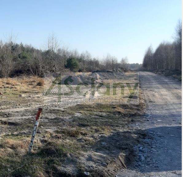 Działka rekreacyjna 3100&nbsp;m², Wycześniak - zdjęcie 1