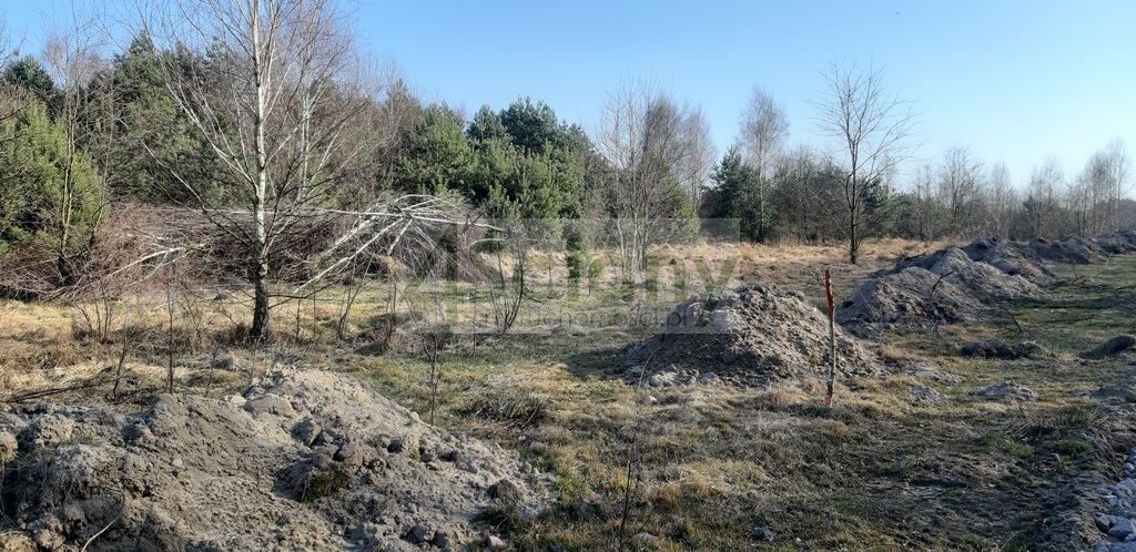 Działka gospodarstwo 3000&nbsp;m², Wycześniak - zdjęcie 1