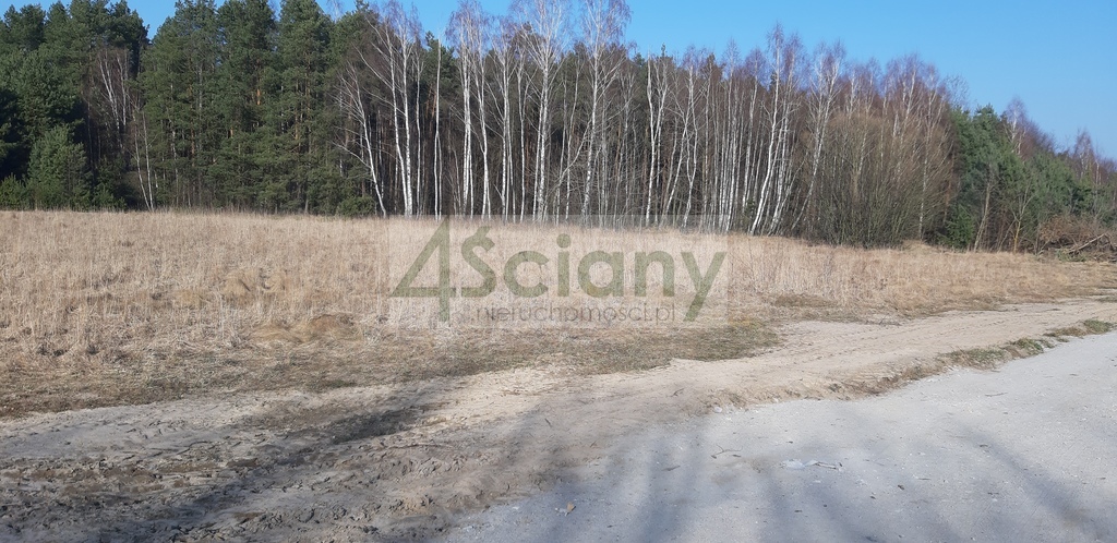 Działka gospodarstwo 3000&nbsp;m², Wycześniak - zdjęcie 2