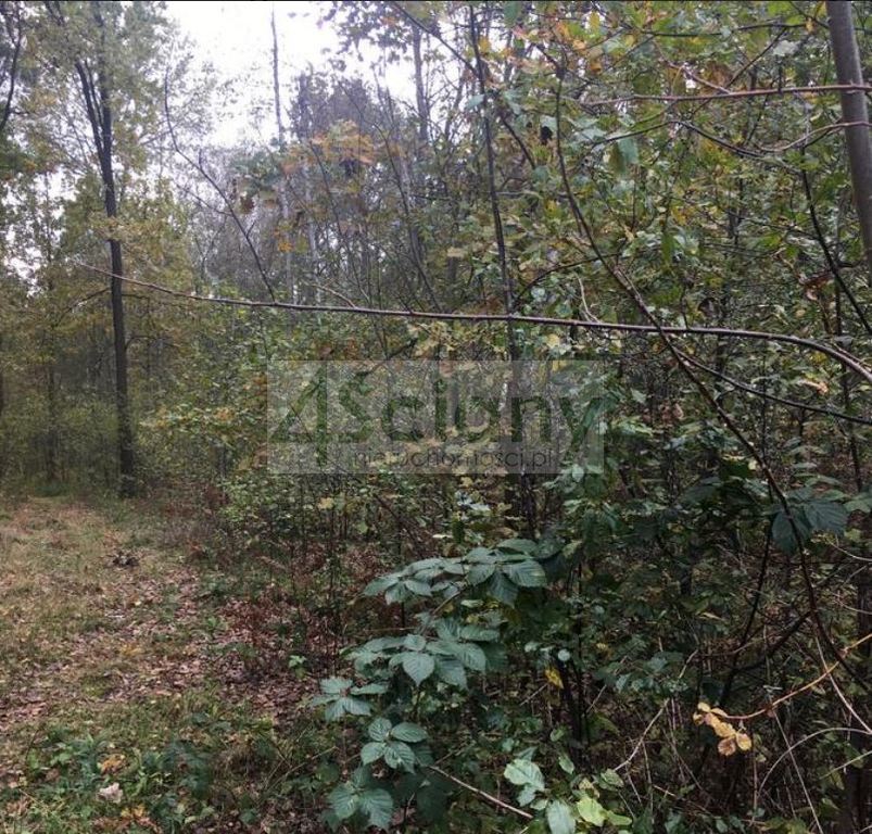 Działka rolna 1521&nbsp;m², Nowy Prażmów - zdjęcie 1