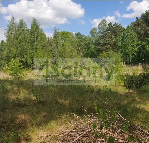 Działka budowlana 2000 m², Strzeniówka - zdjęcie 1