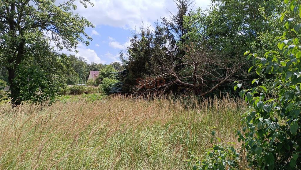 Działka budowlana 1600 m², Kotowice - zdjęcie 4