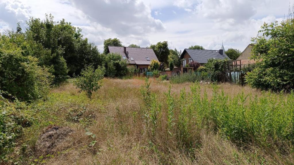 Działka budowlana 1600 m², Kotowice - zdjęcie 3