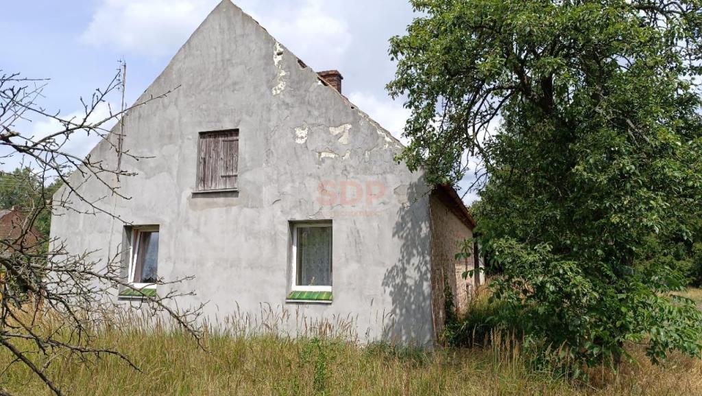 Dom 180 m², Kotowice - zdjęcie 5