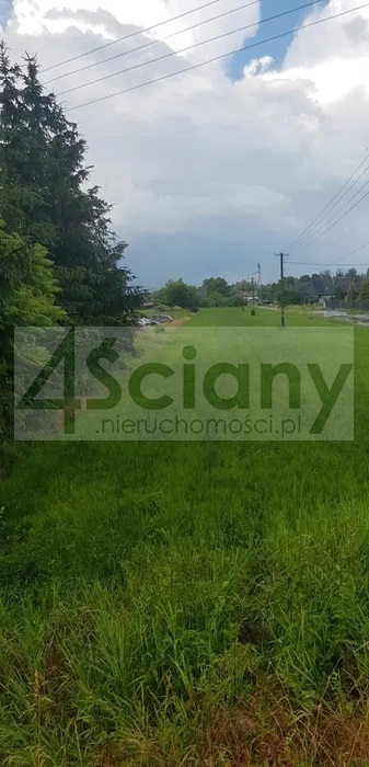Działka budowlana 3990&nbsp;m², Bieniewice - zdjęcie 2