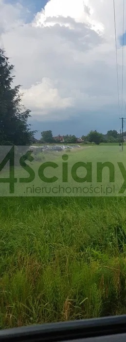 Działka budowlana 3990&nbsp;m², Bieniewice - zdjęcie 1