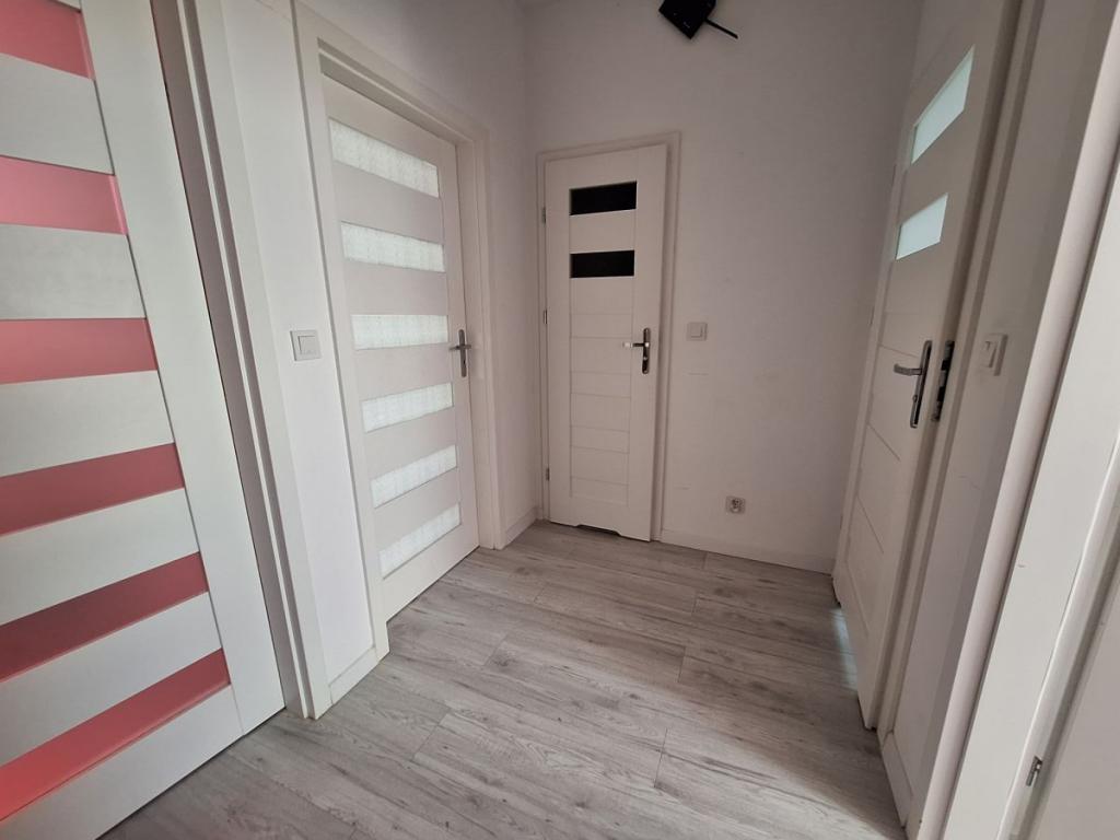 skrajny, ogród duży , kanalizacja - zdjęcie 11