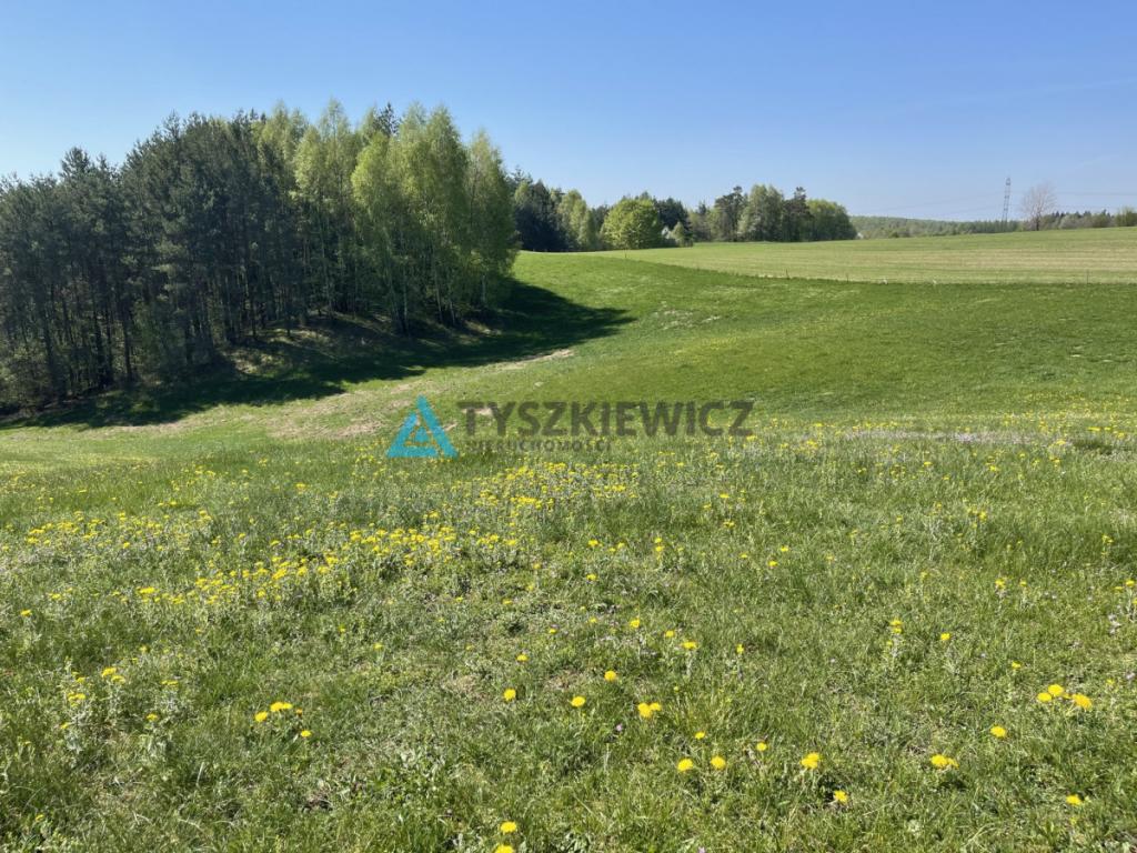 Działka z widokiem położona w malowniczym miejscu - zdjęcie 13