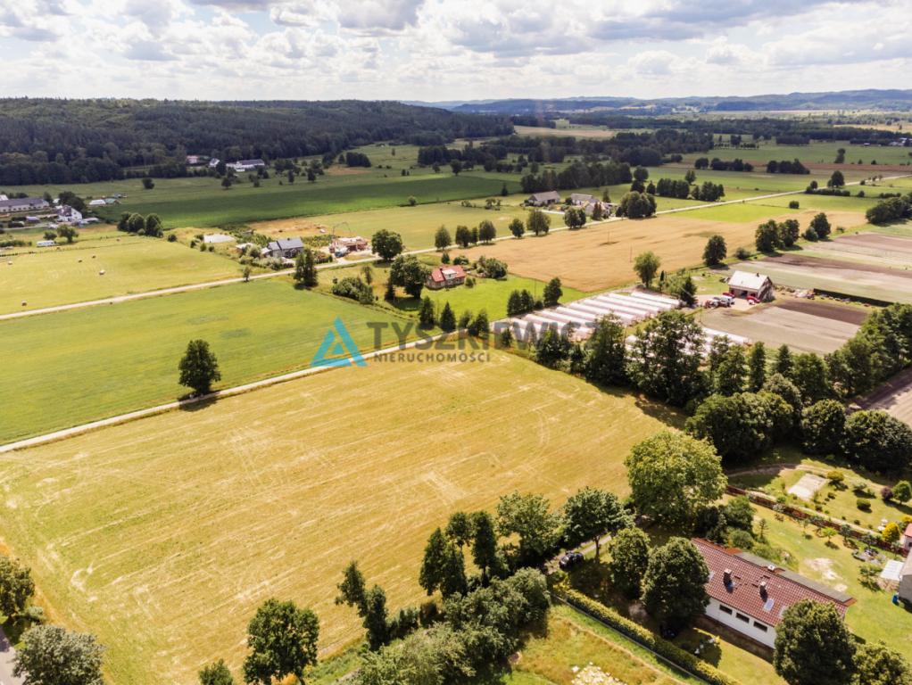 Działka 4000m z WZ na 2 budynki jednorodzinne! - zdjęcie 3