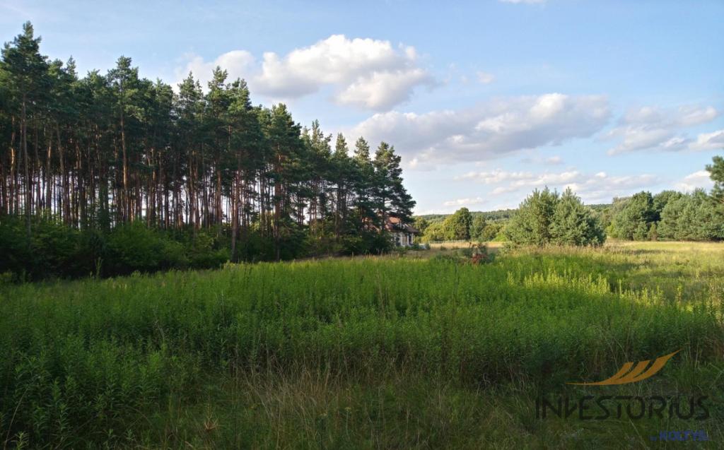 Działka budowlana, Sąsieczno, Blisko lasu - zdjęcie 2