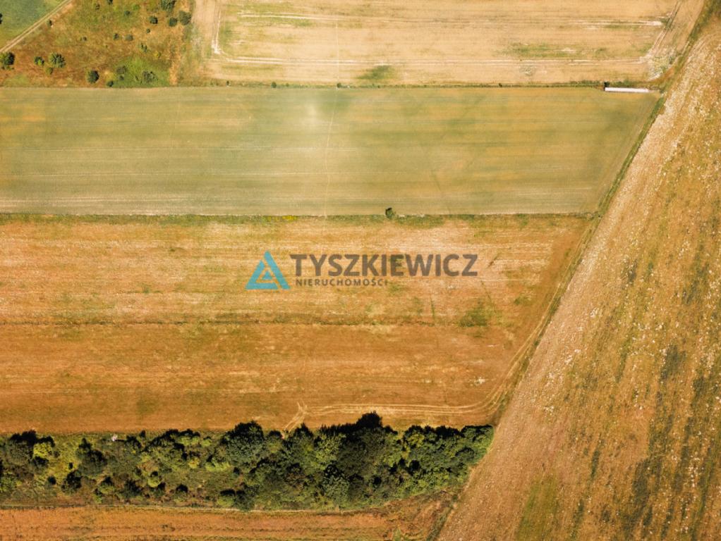 Działka w Chłapowie 1,1 km od morza - zdjęcie 12