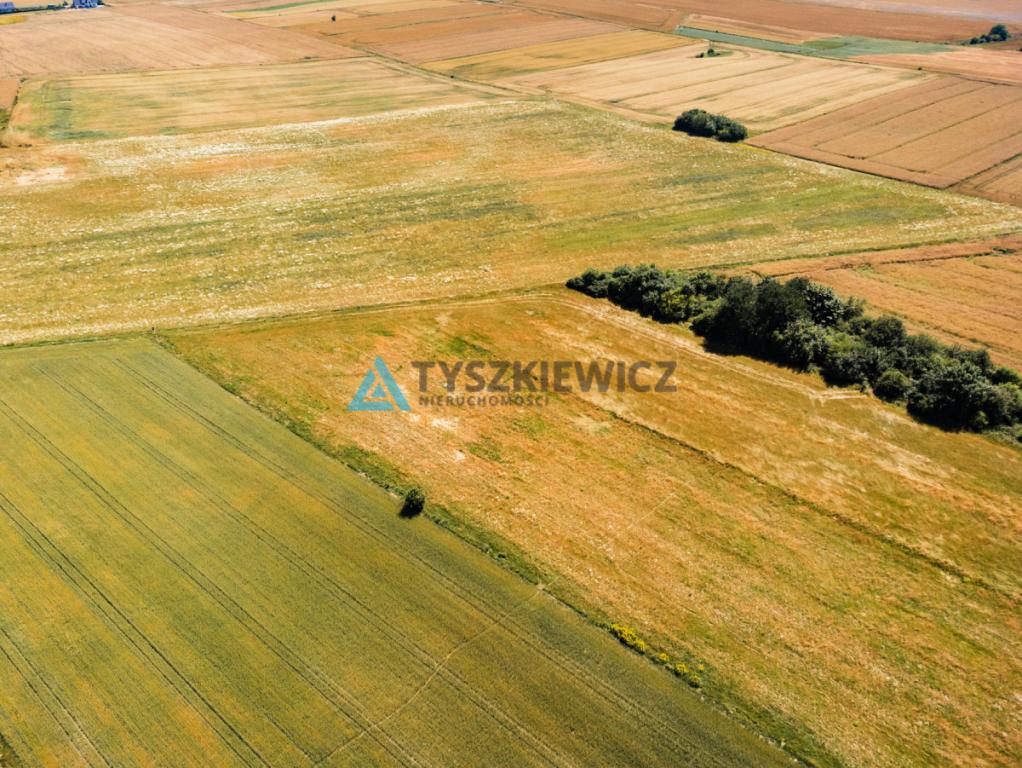 Działka w Chłapowie 1,1 km od morza - zdjęcie 10