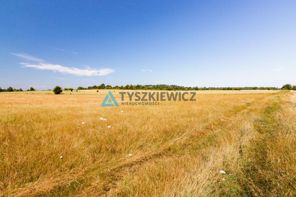 Działka w Chłapowie 1,1 km od morza - zdjęcie 15