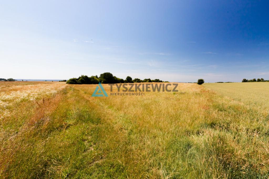 Działka w Chłapowie 1,1 km od morza - zdjęcie 14