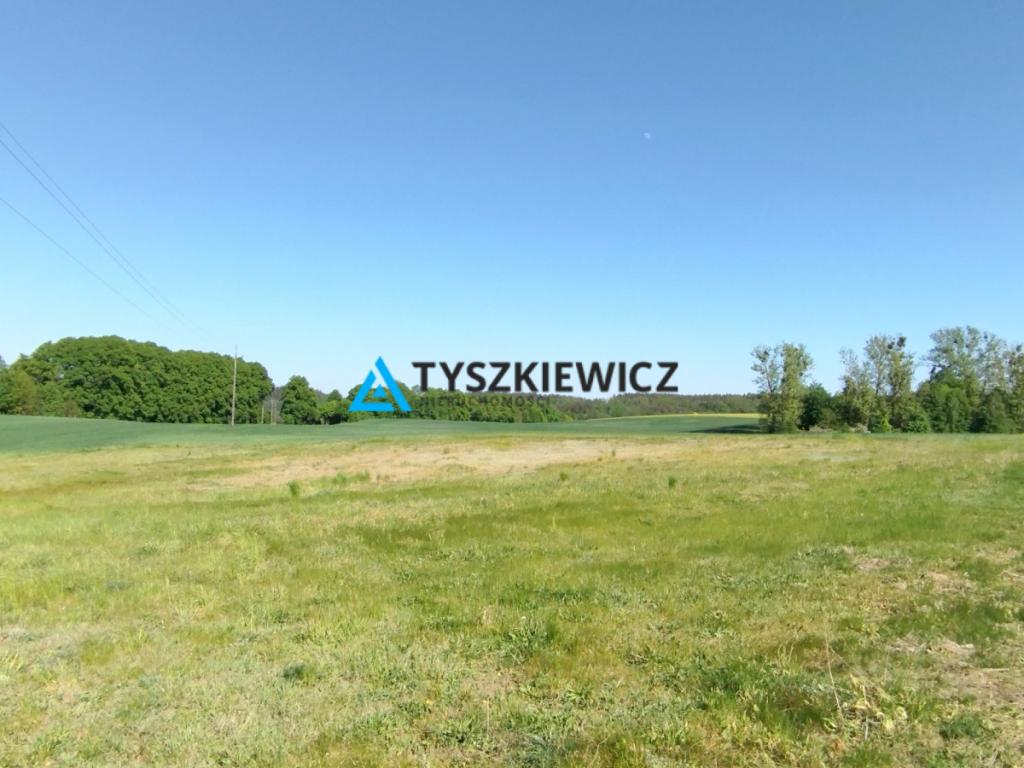 Działka w okolicy Nowej Karczmy - zdjęcie 1