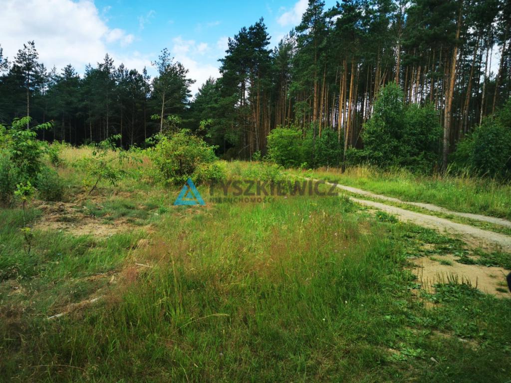 Piękna działka w otoczeniu przyrody! - zdjęcie 8