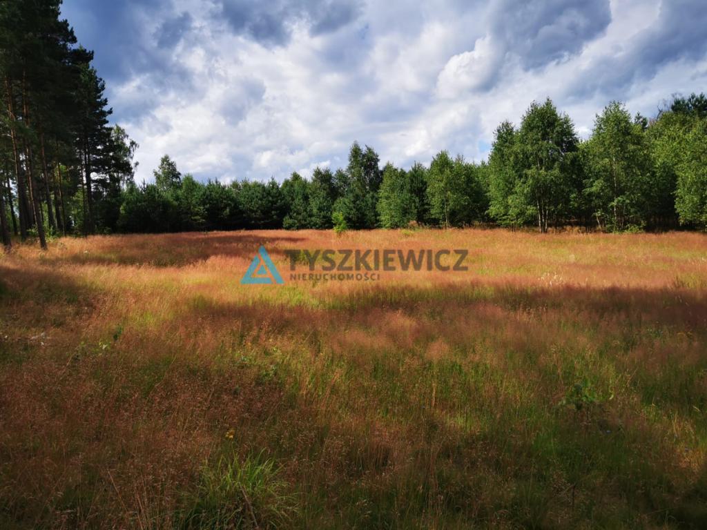 Piękna działka w otoczeniu przyrody! - zdjęcie 5