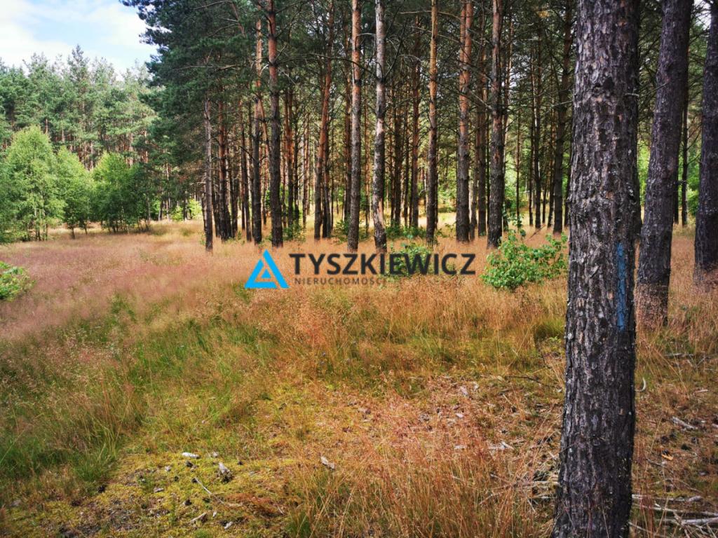 Piękna działka w otoczeniu przyrody! - zdjęcie 1
