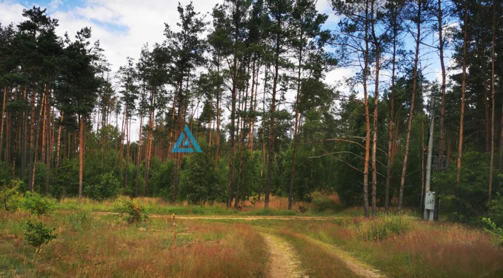 Wyjątkowa działka w otoczeniu przyrody! - zdjęcie 6