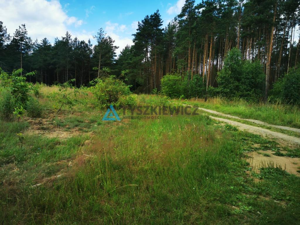 Wyjątkowa działka w otoczeniu przyrody! - zdjęcie 7