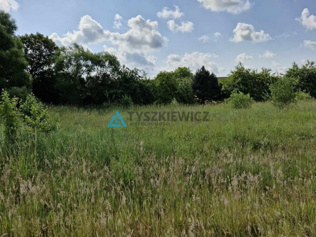 Atrakcyjna Działka Rolna - zdjęcie 4
