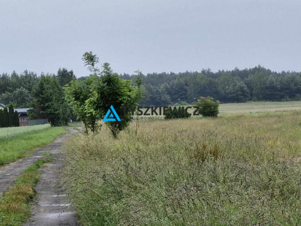 Atrakcyjna Działka Rolna - zdjęcie 1
