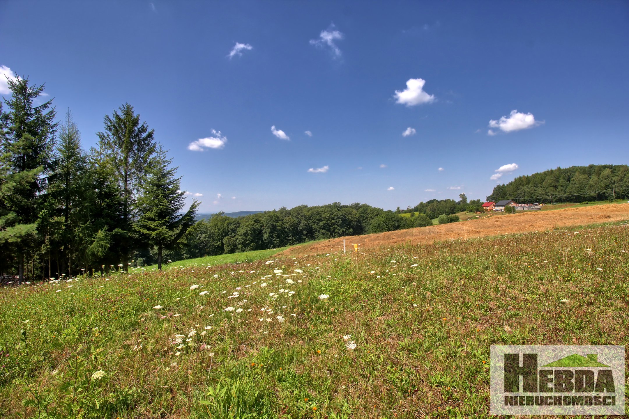 Na sprzedaż działka budowlana, 20 arów, Dąbrówka Szczepanowska - zdjęcie 3