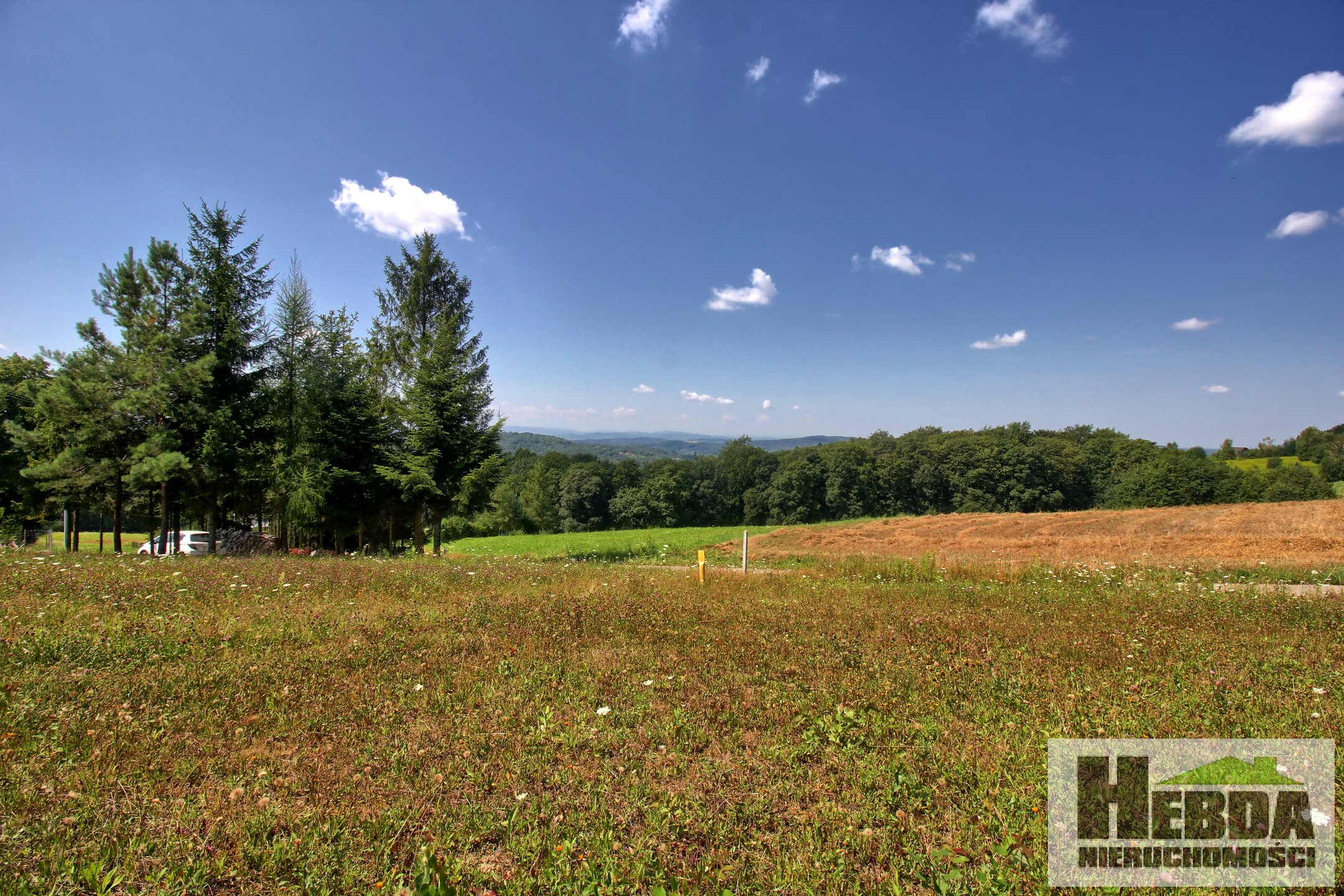 Na sprzedaż działka budowlana, 20 arów, Dąbrówka Szczepanowska - zdjęcie 5