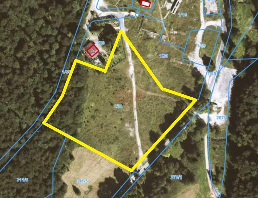 Działka budowlana 1,39 ha, Kletno - zdjęcie 4