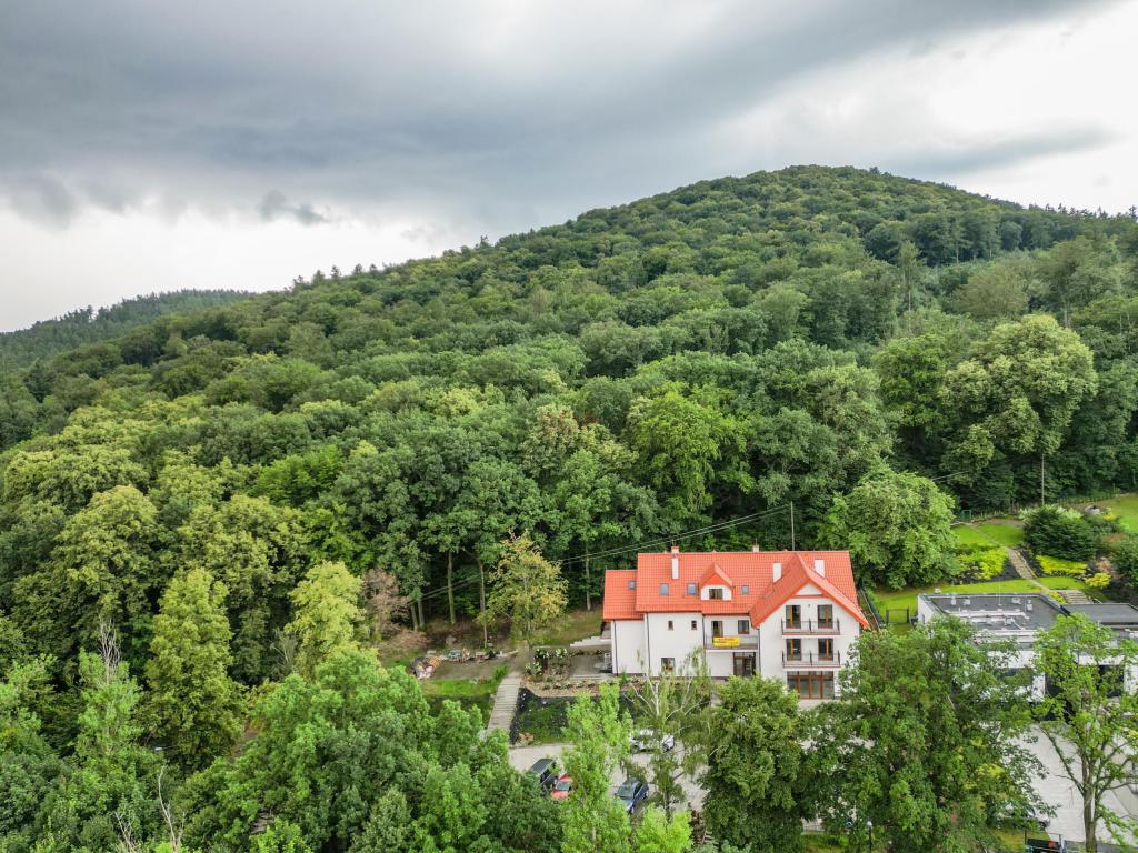 Lokal usługowy na sprzedaż, 595 m², Sobótka, Armii Krajowej - zdjęcie 1