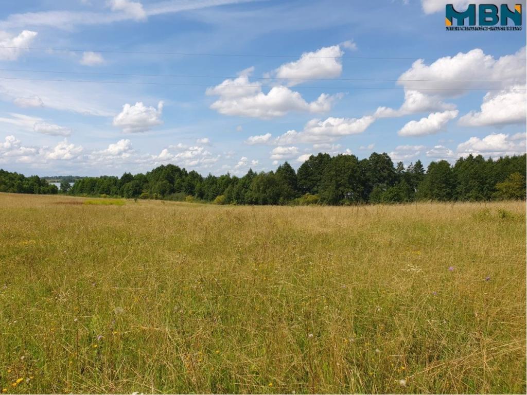 Działka rolna 4720&nbsp;m², Harsz - zdjęcie 4