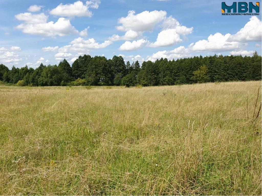 Działka rolna 4720&nbsp;m², Harsz - zdjęcie 11
