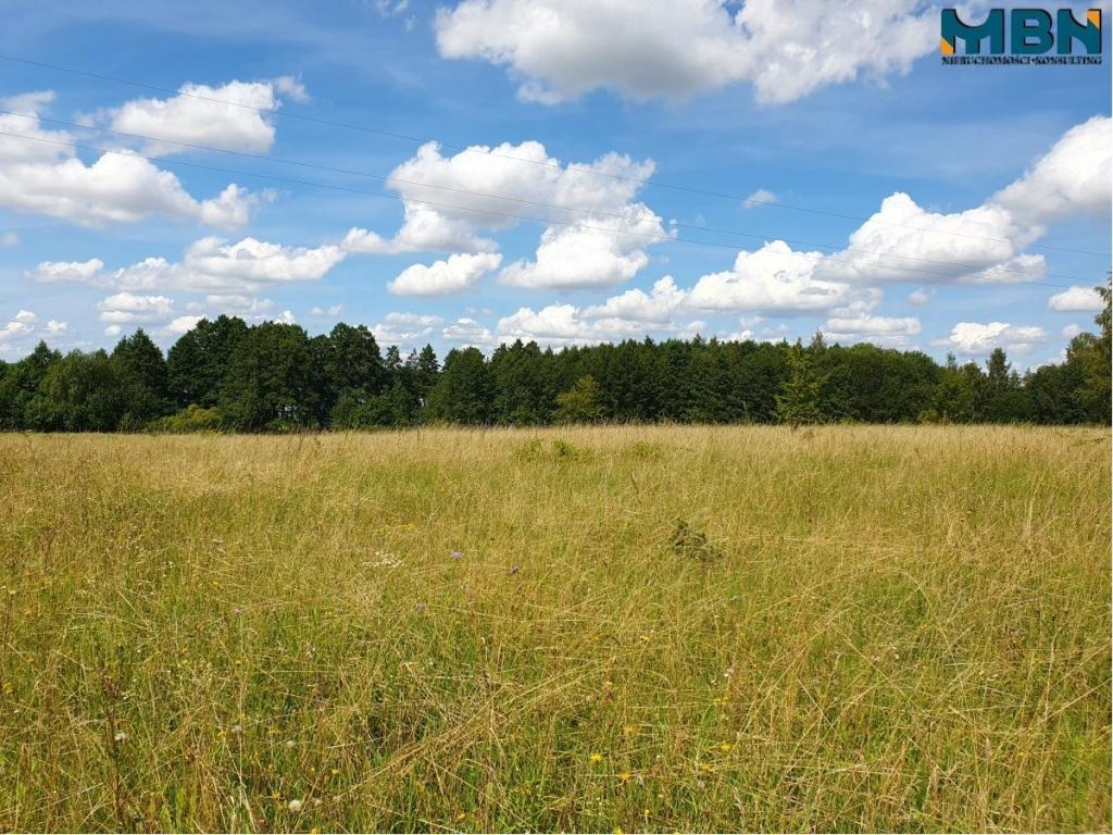 Działka rolna 4720&nbsp;m², Harsz - zdjęcie 5
