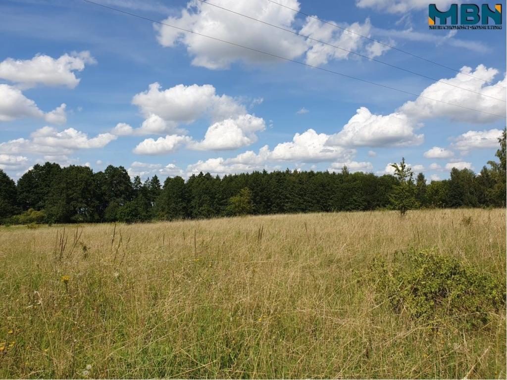 Działka rolna 4720&nbsp;m², Harsz - zdjęcie 7