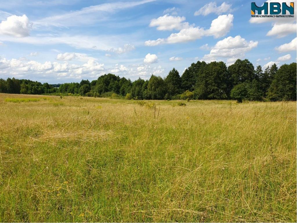 Działka rolna 4720&nbsp;m², Harsz - zdjęcie 15