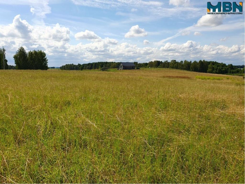 Działka rolna 4720&nbsp;m², Harsz - zdjęcie 14